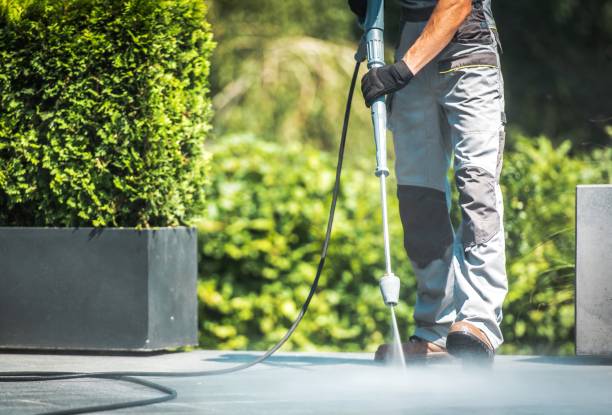 Best Window and Screen Pressure Cleaning in Grapeland, TX