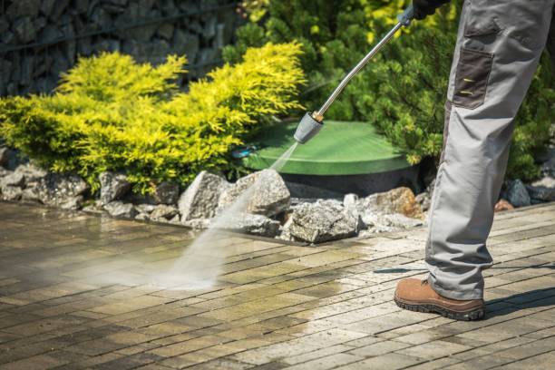 Best Oil and Grease Removal from Surfaces in Grapeland, TX