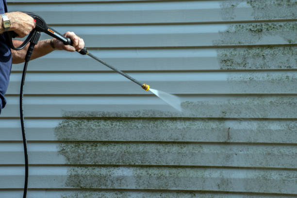Best Residential Pressure Washing in Grapeland, TX