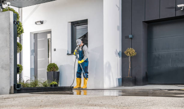 Best Graffiti Removal Services in Grapeland, TX