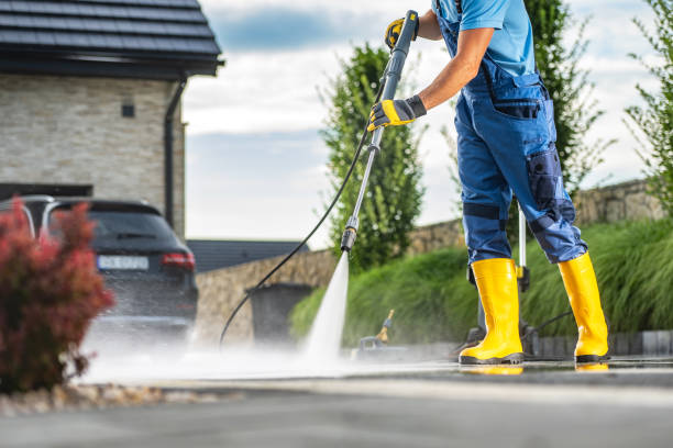 Best Soft Washing for Delicate Surfaces in Grapeland, TX